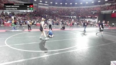 175 lbs Quarterfinal - Jacob Phelps, Cadott vs Grant Melichar, Port Washington Piranhas