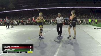 D2-144 lbs Quarterfinal - Louden Stradling, Gaylord HS vs Lane Button, Wayland Union HS