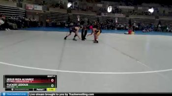 65 lbs Quarterfinals (8 Team) - Jesus Riza Alvarez, NLS (New London/Spicer) vs Tucker Ledoux, Waconia