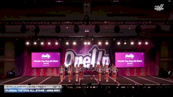 Florida Top Dog All Stars - Miss Mist [2026 L4 Junior - Flex - Small Day 2] 2026 One Up Grand Nationals