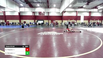 165 lbs Consi Of 16 #2 - Andrew Pappas, Rhode Island College vs Dominic Demaio, New England College