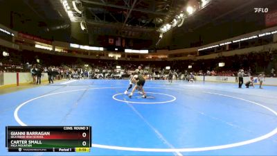 120 lbs Cons. Round 3 - Carter Small, Mica Mountain vs Gianni Barragan, Gila Ridge High School