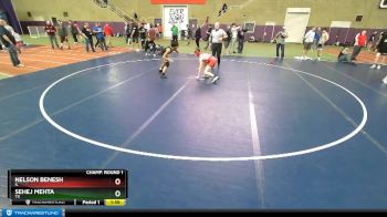 106 lbs Champ. Round 1 - Nelson Benesh, IL vs Sehej Mehta, TX