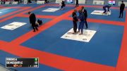 Xande Ribeiro vs Erberth Santos 2016 LA Grand Slam