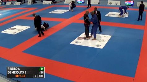 Xande Ribeiro vs Erberth Santos 2016 LA Grand Slam