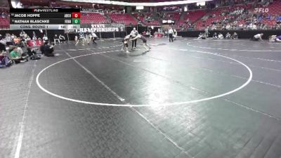D2-175 lbs Cons. Round 1 - Jacob Hoppe, Abbotsford/Colby vs Nathan Blaschke, Fennimore