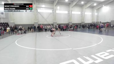 138 lbs Champ. Rd Of 64 - Rayce Vicars, Green Canyon vs Mckay Strasburg, Weber