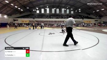 141 lbs Consolation - Deegan Palmer, Northeastern vs Kainalu Estrella, Utah Valley