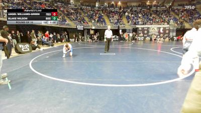 120 lbs Round Of 16 - Angel Williams-Green, Pocono Mountain West vs Blake Wilson, Mars