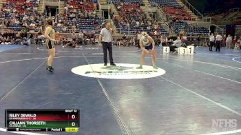 155 lbs Placement Matches - Riley Dewald, E4-Napoleon G-S vs Caliann Thorseth, E3-Fargo