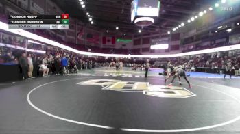 165 lbs Cons. Semi - Connor Hauff, Meridian vs Camden Harrison, Eagle