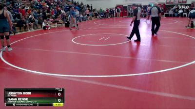 215 lbs Semifinal - Leighton Robb, St. Peter vs Isaiah Renne, Atwater-Cosmos-Grove City