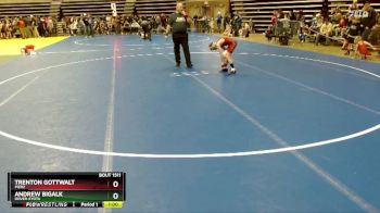 80 lbs Quarterfinal - Trenton Gottwalt, Pierz vs Andrew Bigalk, Dover-Eyota