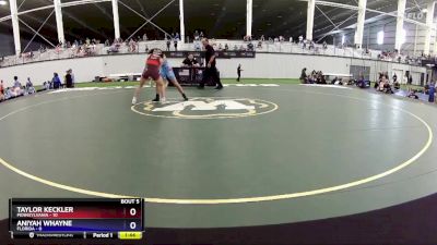 100 lbs Round 2 (8 Team) - Taylor Keckler, Pennsylvania vs Aniyah Whayne, Florida