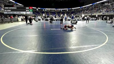 65 lbs Round Of 16 - Cruz Astorino, Curwensville vs Eli Hind, Waynesboro