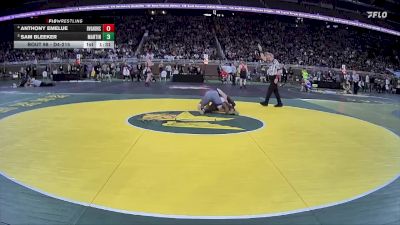 D4-215 lbs Champ. Round 1 - Sam Bleeker, Martin vs Anthony Emelue, Riverview Gabriel Richard