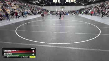 132 lbs Cons. Round 7 - Bo Davis, Wittenberg-Birnamwood vs Trevor Schultz, New London