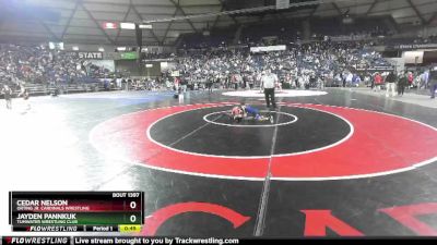 49 lbs Cons. Round 3 - Cedar Nelson, Orting Jr. Cardinals Wrestling vs Jayden Pannkuk, Tumwater Wrestling Club