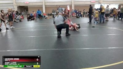 52 lbs Round 2 (6 Team) - Jackson Kribs, Ares vs Gary Lloyd, Hazel Park Vikings