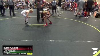 67 lbs Finals (8 Team) - Dustin Alvarado, Aggression Legionaries vs Liam Ferguson, Mi Pitbulls