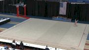 Amelia Schneider - Hoop - 2021 Rhythmic Elite Qualifier