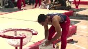 Akash Modi - Parallel Bars, United States - 2018 Pacific Rim Championships
