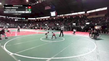 50 lbs Quarterfinal - Somar Freeman, RTLA vs Carlo Artino, LAC3