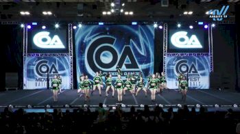 Venom Allstars - Mambacitas [2025 L4 Senior - Medium Day 2] 2025 COA Grand Nationals