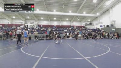 132 lbs Cons. Sub-quarters - Robert Rodriguez, Canyon View Falcons vs Grayson Harwood