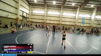 49 lbs Round 2 - Cadan Mcpeck, Alaska vs Waylon Dobbs, Alaska