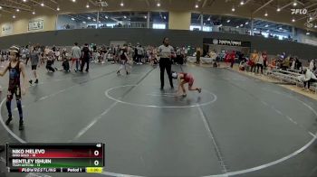 48 lbs Round 4 (6 Team) - Niko Melevo, Ohio Gold vs Bentley Ishuin, Team Gotcha