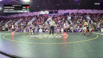 138 lbs Finals (8 Team) - Jackson Blum, Lowell HS vs Caleb Cyman, Fowlerville HS