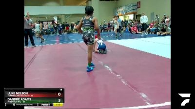 95 lbs Round 1 (6 Team) - Luke Nelson, Team Palmetto State vs Dandre Adams, Predator WC