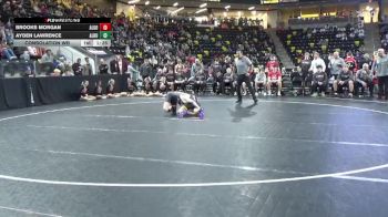 138 lbs Consolation Wb - Ayden Lawrence, Alburnett vs Brooks Morgan, Algona