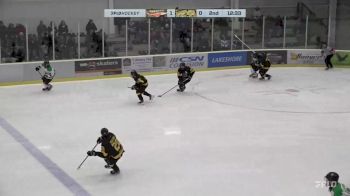 Replay: Home - 2025 Golden Hawks vs Cougars | Jan 23 @ 7 PM