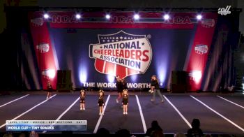 World Cup - Tiny Sparks [2026 L1 Tiny - Novice - Restrictions Day 1] 2026 NCA Toms River Classic