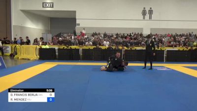 DAMIEN FRANCIS BORJA vs RICARDO MENDEZ 2023 World Master IBJJF Jiu-Jitsu Championship