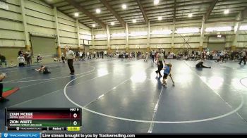 37 lbs Quarterfinal - Lyam Mckee, Uintah Wrestling vs Zion White, Warrior Wrestling Club