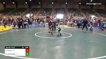 45 lbs Quarterfinal - Hanna Posey, Troup Wrestling vs Max Stellmaker, Dragons Junior Wrestling Club