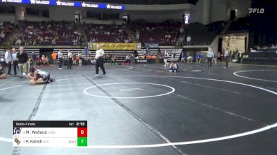 136 lbs Semifinal - Mikayla Wallace, Lyon (W) vs Paige Kalish, Central Florida (W)