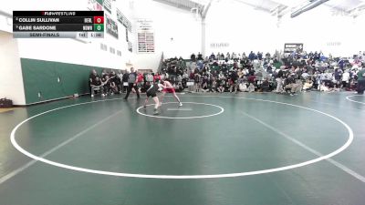 113 lbs Semifinal - Collin Sullivan, Berlin vs Gabe Sardone, Notre Dame-West Haven