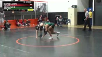 132 lbs Cons. Round 3 - Connor Lane, Green Valley vs Justice Saribay, Palo Verde