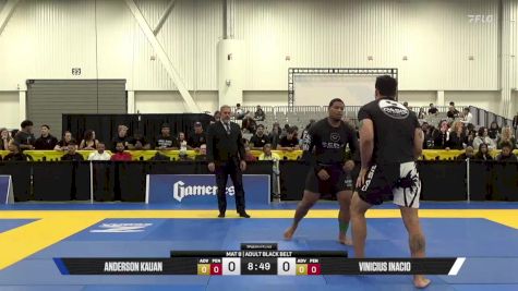 Vinicius Inacio vs Anderson Kauan 2025 World IBJJF Jiu-Jitsu No-Gi Championship