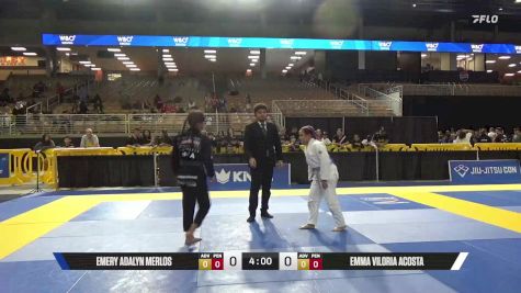 Emma Viloria Acosta vs Emery Adalyn Merlos 2025 Pan Kids Jiu-Jitsu IBJJF Championship