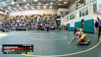 138 lbs Champ. Round 1 - AJ Rickenbacher, WOODRIDGE vs Logan Clark, OLMSTED FALLS