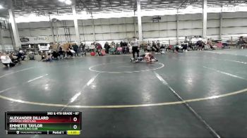 87 lbs Round 4 - Emmette Taylor, Hawk Wrestling Club vs Alexander Dillard, Lewiston Wrestling