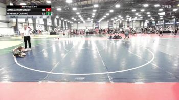 100 lbs Rr Rnd 3 - Amelia Iremonger, Diesel Wrestling Academy vs Isabella Castro, Illinois Cornstars