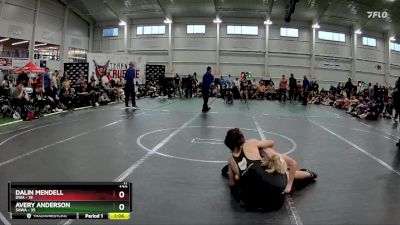 120 lbs Round 6 (10 Team) - Dalin Mendell, DWA vs Avery Anderson, SHWA