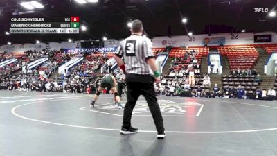 157 lbs Quarterfinals (8 Team) - Cole Schwegler, Detroit Catholic Central vs Maverick Hendricks, Macomb Dakota