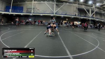 100-105 lbs Cons. Semi - Cameron Mendick, Northern Delaware Wrestling Academy vs Treydan Beam, Wolf Gang